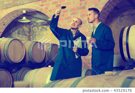 two winemakers with sample of wine in cellar. 43529176
