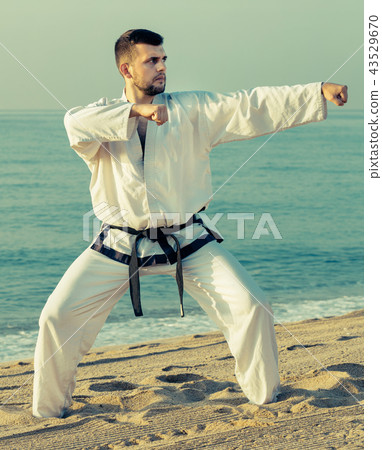 young man practicing karate positions young man practicing karate positions 43529670