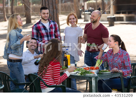 Colleagues making grill at picnic 43531209