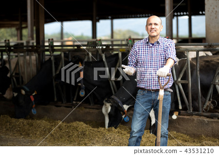 Male farmer holding agricultural tool Male farmer holding agricultural tool 43531210