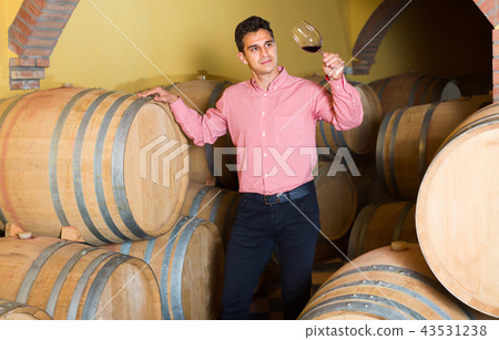 Smiling male owner of winery standing with wine 43531238