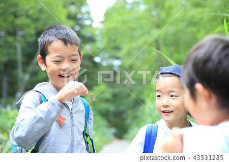 A child who catches a dragonfly A child who catches a dragonfly 43531285