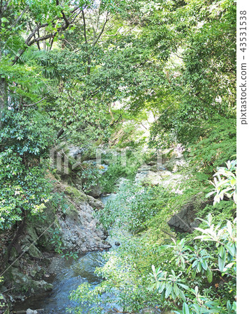 Beautiful forest scenery of Mino city Beautiful forest scenery of Mino city 43531538