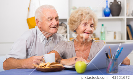 Smiling senior couple surfing net with laptop 43531672