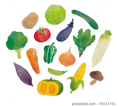 Vegetable watercolor painting 43531731