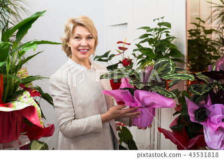 Glad retiree female customer choosing flowers 43531818