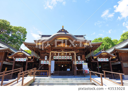佐賀縣佐賀縣坂神社（Sajinjinja）松原神社 43533028
