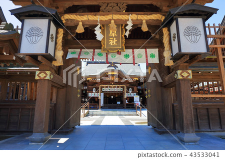 佐賀縣佐賀縣坂神社（Sajinjinja）松原神社 43533041