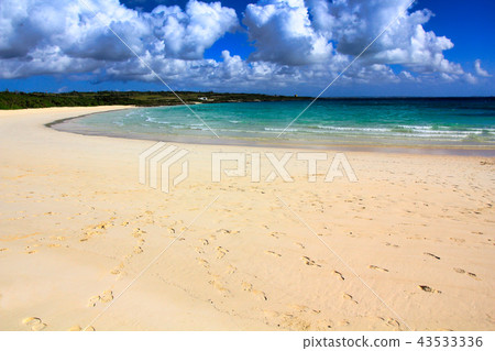 Beach on the beach 43533336