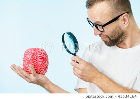 Man looking at human brain 43534164
