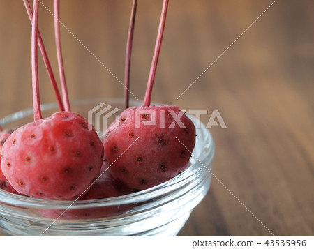 Wild boar fruit _ with glasses 43535956