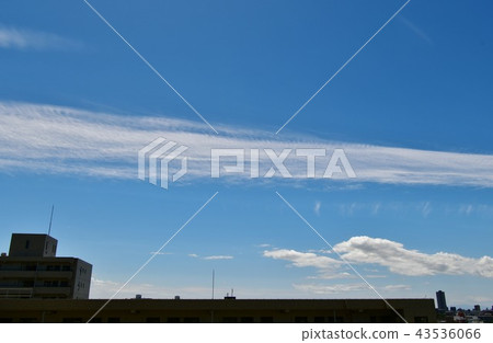 細長的雲彩 43536066