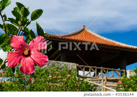 Ishigakijima Tamatorizaki Observatory（沖繩） 43536144