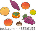 秋季蔬菜水果 43536155
