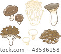 蘑菇 43536158