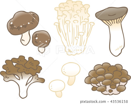mushroom mushroom 43536158
