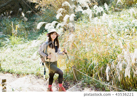 A woman trekking A woman trekking 43536221