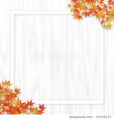 Autumn leaves White frame Shiraki Autumn leaves White frame Shiraki 43536237