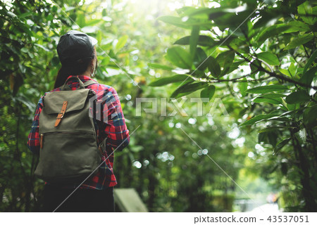 Asian girl traveler walking in the forest. Asian girl traveler walking in the forest. 43537051