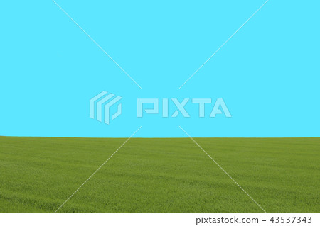 Hokkaido Nature and Nature Sky and Earth Hokkaido Nature and Nature Sky and Earth 43537343