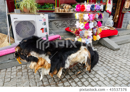 HOHHOT city view 43537376