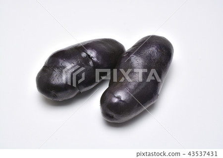 Purple potato 43537431