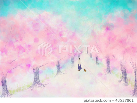 Cherry blossom bloom illustration blue sky person dog 43537801