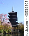 Kyoto Spring's Toji 43539805