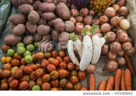 CAMBODIA PHNOM PENH KANDAL MARKET FOOD CAMBODIA PHNOM PENH KANDAL MARKET FOOD 43540042