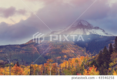 Autumn in Colorado Autumn in Colorado 43540258