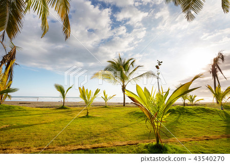 Coast in Costa Rica Coast in Costa Rica 43540270