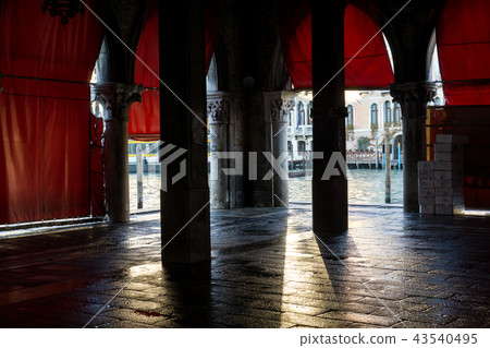 Rialto Fish Market 43540495