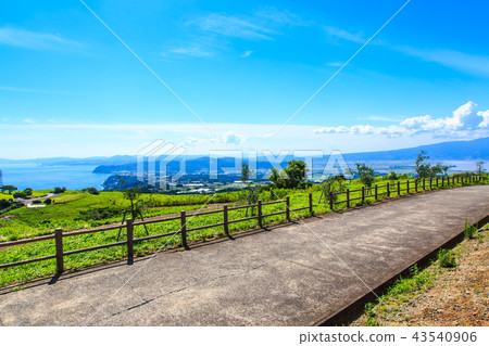 Fresh green ranch village Azuma [Azumacho, Unzen City, Nagasaki Prefecture] 43540906