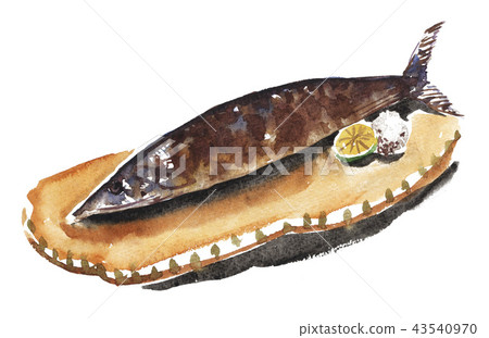 梭魚 針魚 加鹽燒烤或烤製 43540970