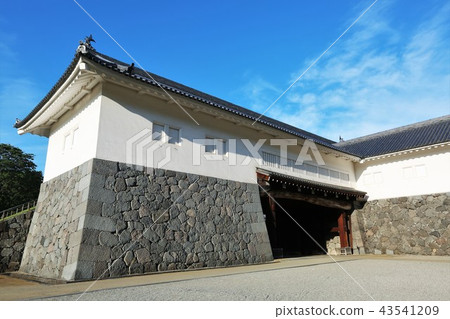 Yamagata Castle 43541209