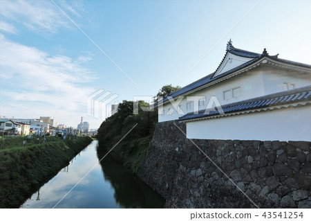 Yamagata Castle 43541254