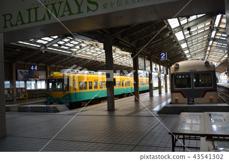 Toyama local train 43541302