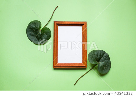 Framework and plant on green paper, top view. 43541352