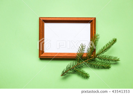 Framework and plant on green paper, top view. 43541353