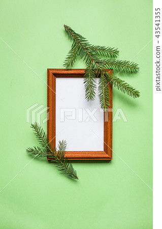 Framework and plant on green paper, top view. 43541355