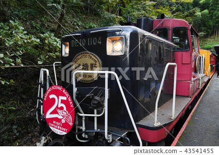 京都 43541455