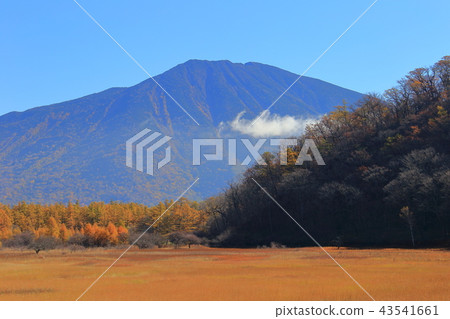 Oku Nikko Odashirohara Observatory (for Mt. Mantai) in autumn Oku Nikko Odashirohara Observatory (for Mt. Mantai) in autumn 43541661