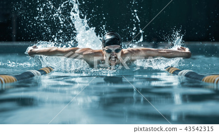 dynamic and fit swimmer in cap breathing performing the butterfly stroke dynamic and fit swimmer in cap breathing performing the butterfly stroke 43542315