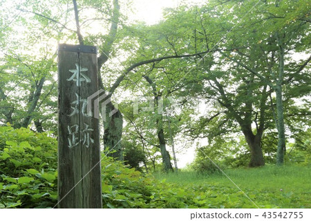 Miharu Castle 43542755