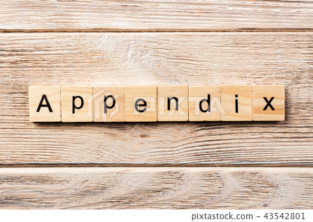 appendix word written on wood block.  43542801