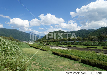 從Fukakawa看到的Migahara Matsumoto市 43542806