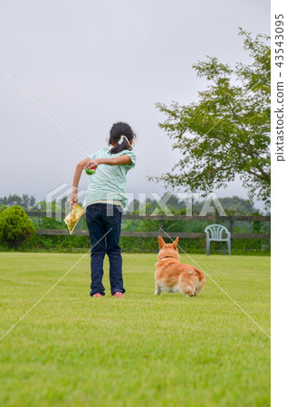 Dog and Girl 4 Ko- Dog and Girl 4 Ko- 43543095