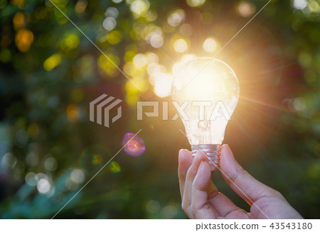 Hand holding light bulbs with glowing on nature Hand holding light bulbs with glowing on nature 43543180
