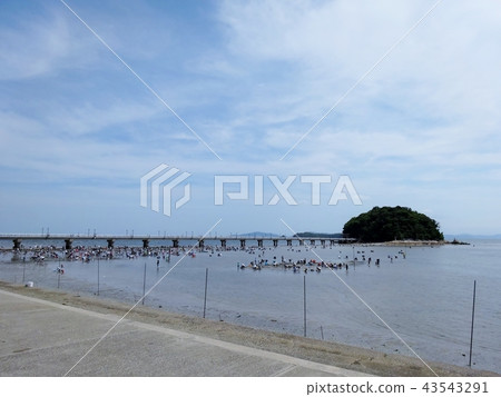 竹島(愛知縣) 竹島(愛知縣) 43543291