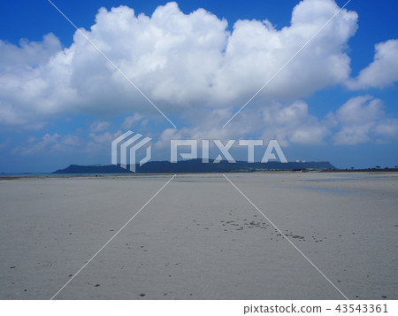 沖繩的神秘海灘 43543361